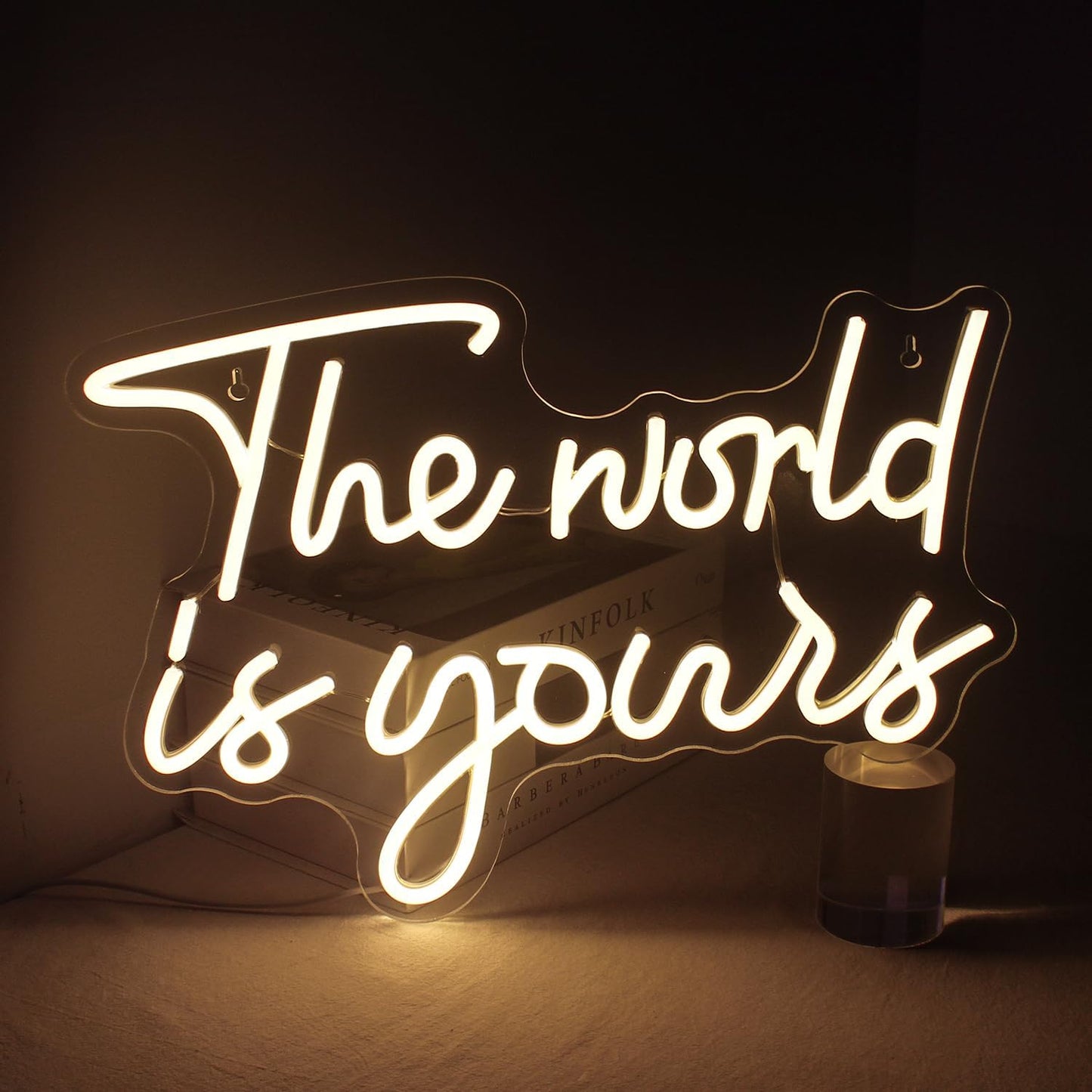 The world is your neon sign in warm white LED light, inspirational wall decor