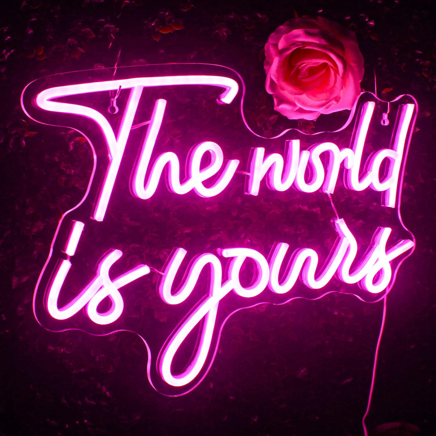 The World Is Yours Neon Sign - Pink LED Light for Inspirational & Aesthetic Decor - Deen neon