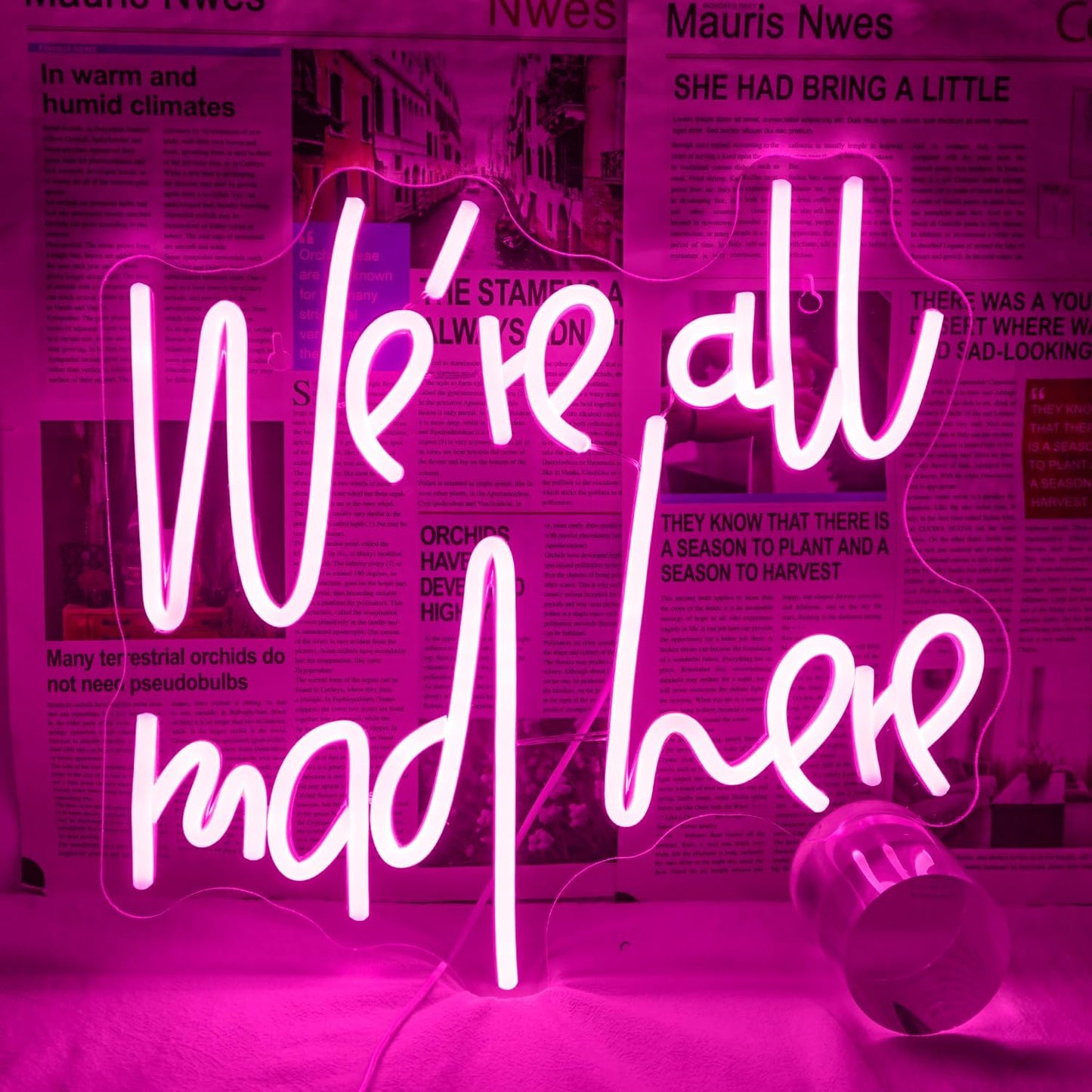 Wonderland-inspired neon sign with quote “We’re all mad here” in glowing LED