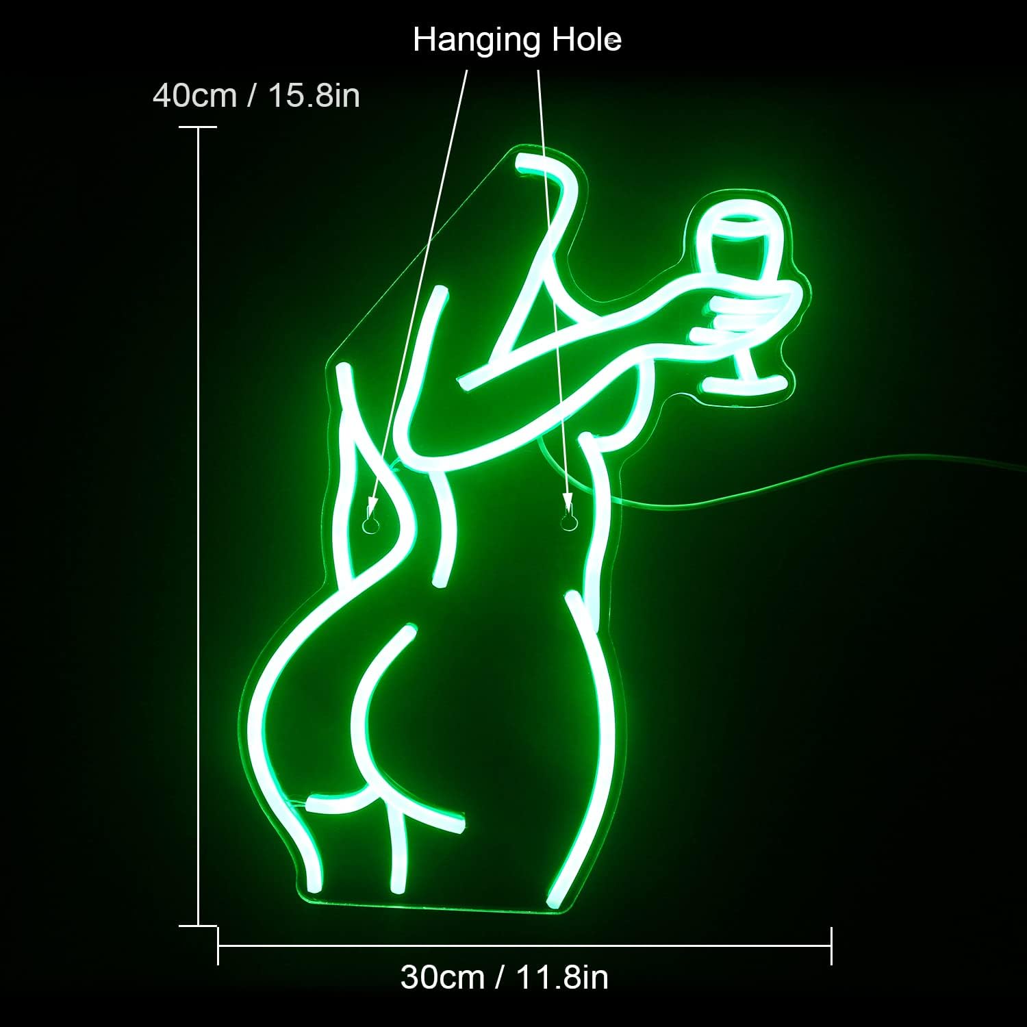 Sexy Woman Neon Sign - LED Wall Light with Vinyl Record Design for Bar & Club Decor - Deen neon
